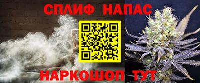 бошки Гатчина