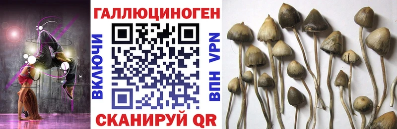 мега вход  Рубцовск  Галлюциногенные грибы GOLDEN TEACHER  как найти  